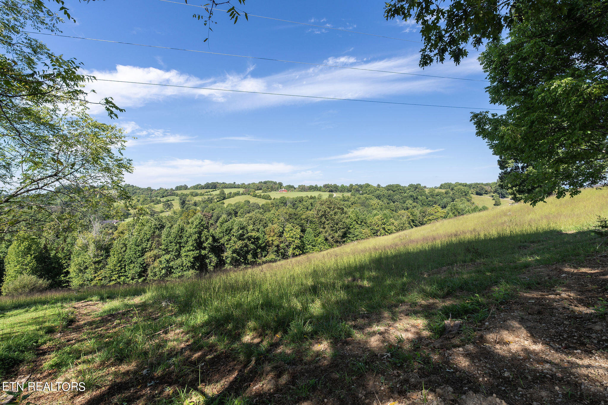 284 John Deere Road Harrogate, TN 37752 - Photo 28 of 60 DSC02489