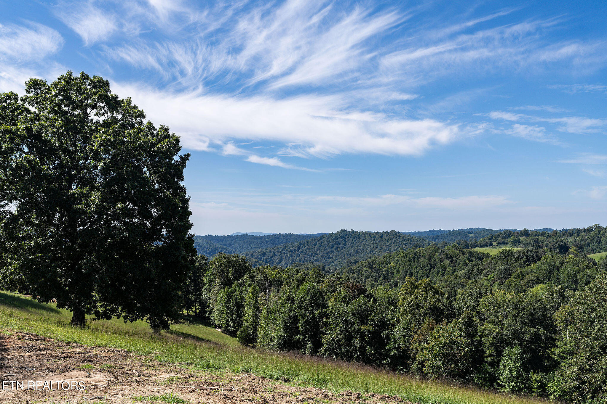 284 John Deere Road Harrogate, TN 37752 - Photo 35 of 60 DSC02547