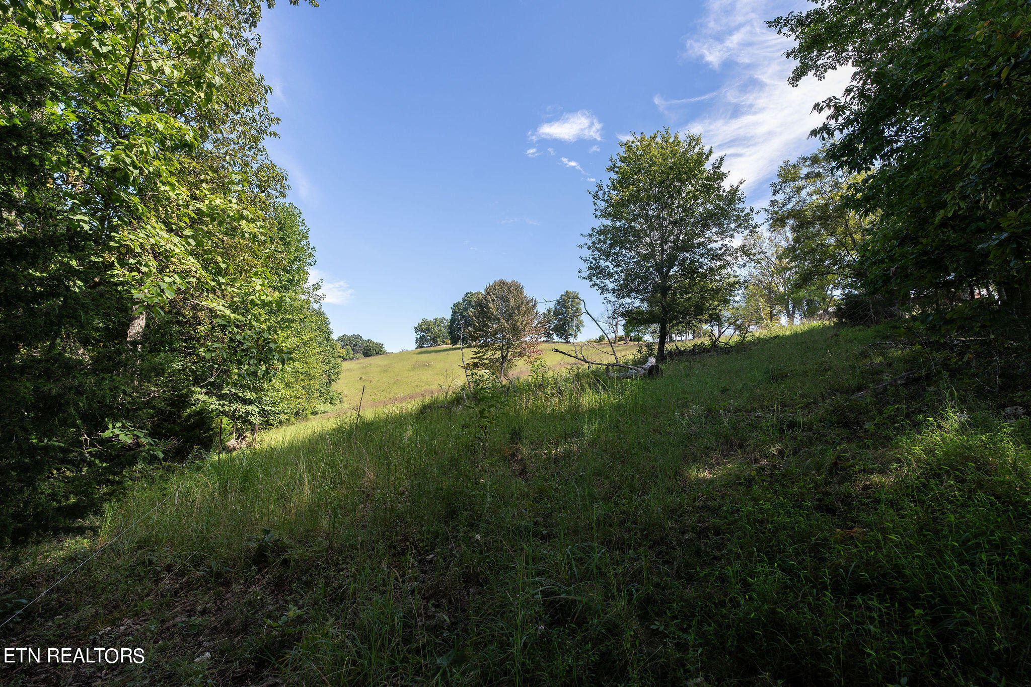 284 John Deere Road Harrogate, TN 37752 - Photo 44 of 60 DSC02631