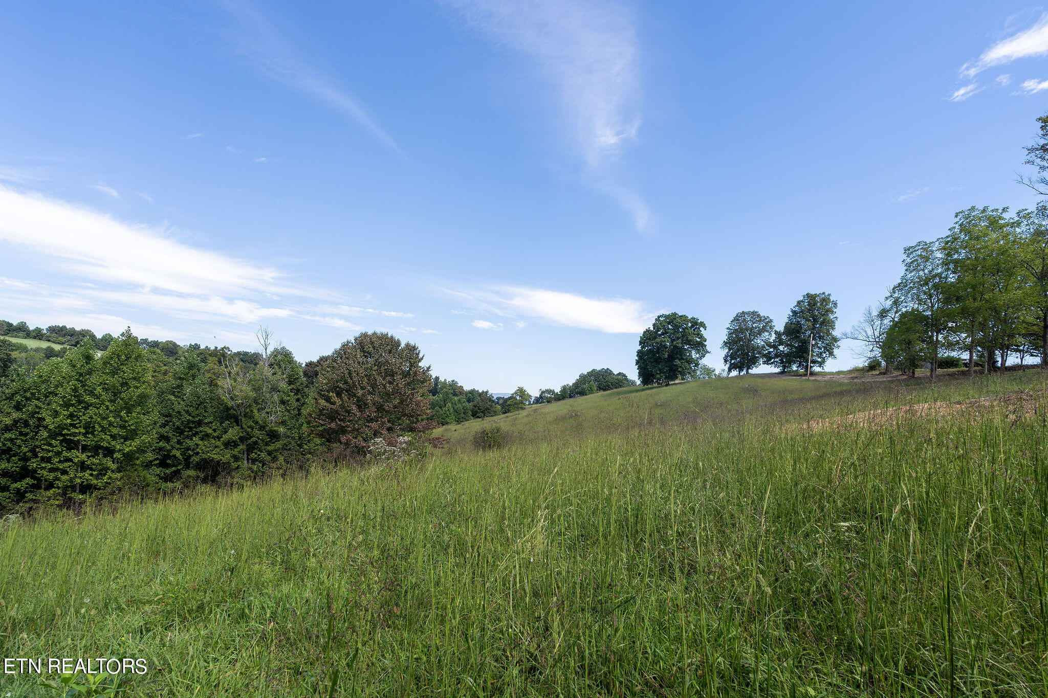 284 John Deere Road Harrogate, TN 37752 - Photo 45 of 60 DSC02636