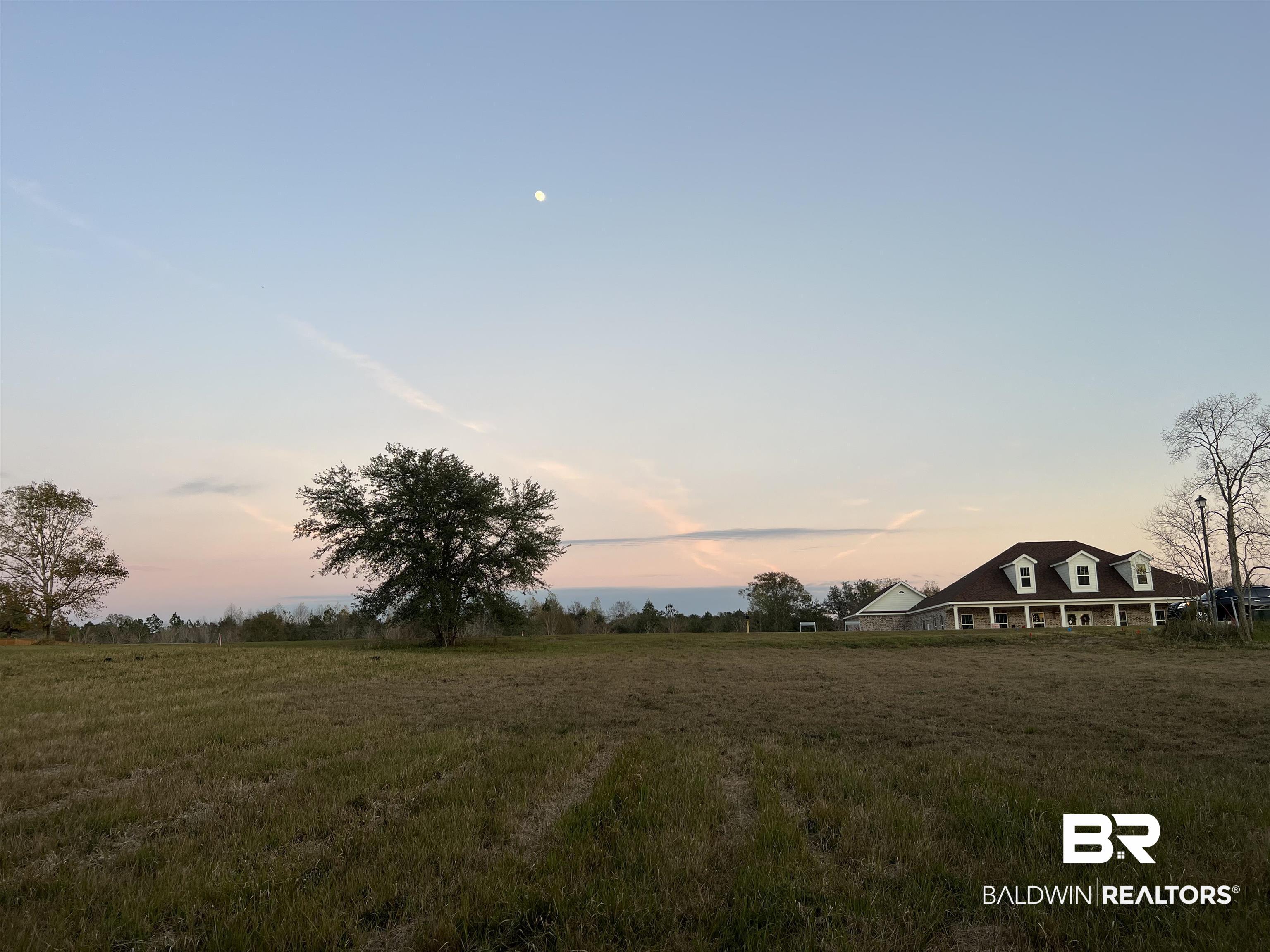 23331 Balsam Creek Drive Elberta, AL 36530 - Photo 9 of 17 East
