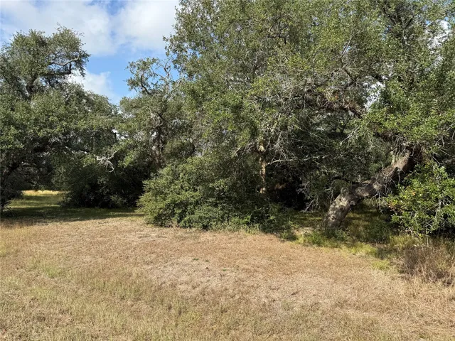 a view of a yard with a tree