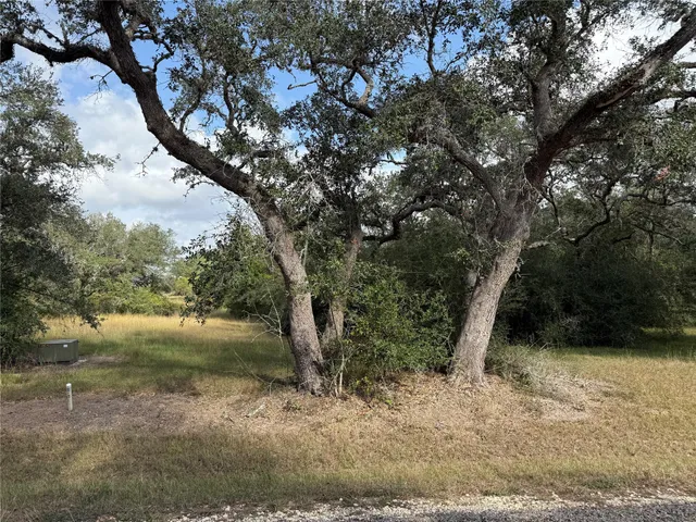 a view of a yard with a tree