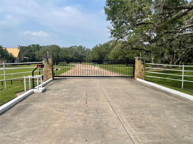 a view of a garden with wooden floor