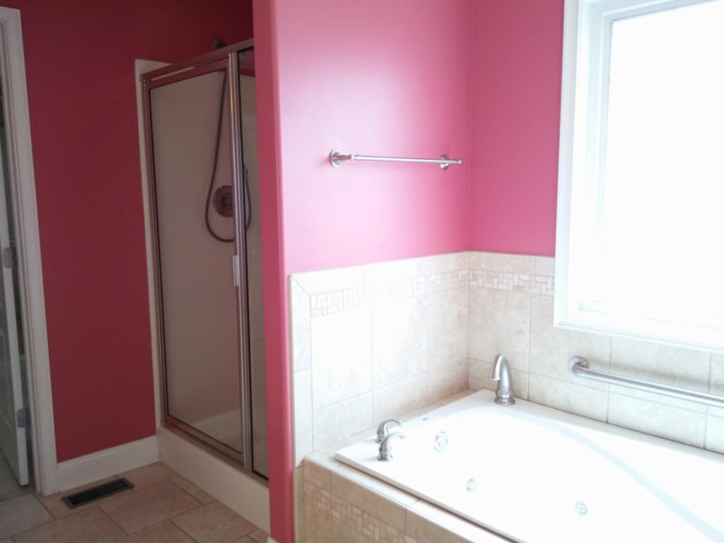175 Willow Ridge Drive Chuckey, TN 37641 - Photo 22 of 35 Soaker tub and shower