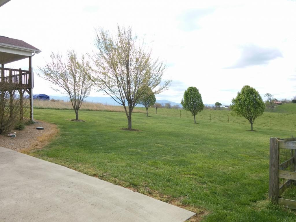 175 Willow Ridge Drive Chuckey, TN 37641 - Photo 27 of 35 Lower drive to level back yard