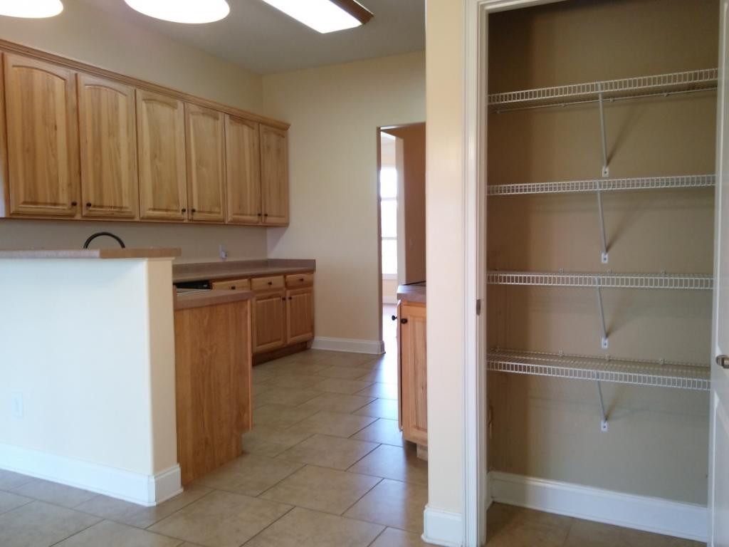 175 Willow Ridge Drive Chuckey, TN 37641 - Photo 10 of 35 Family size pantry