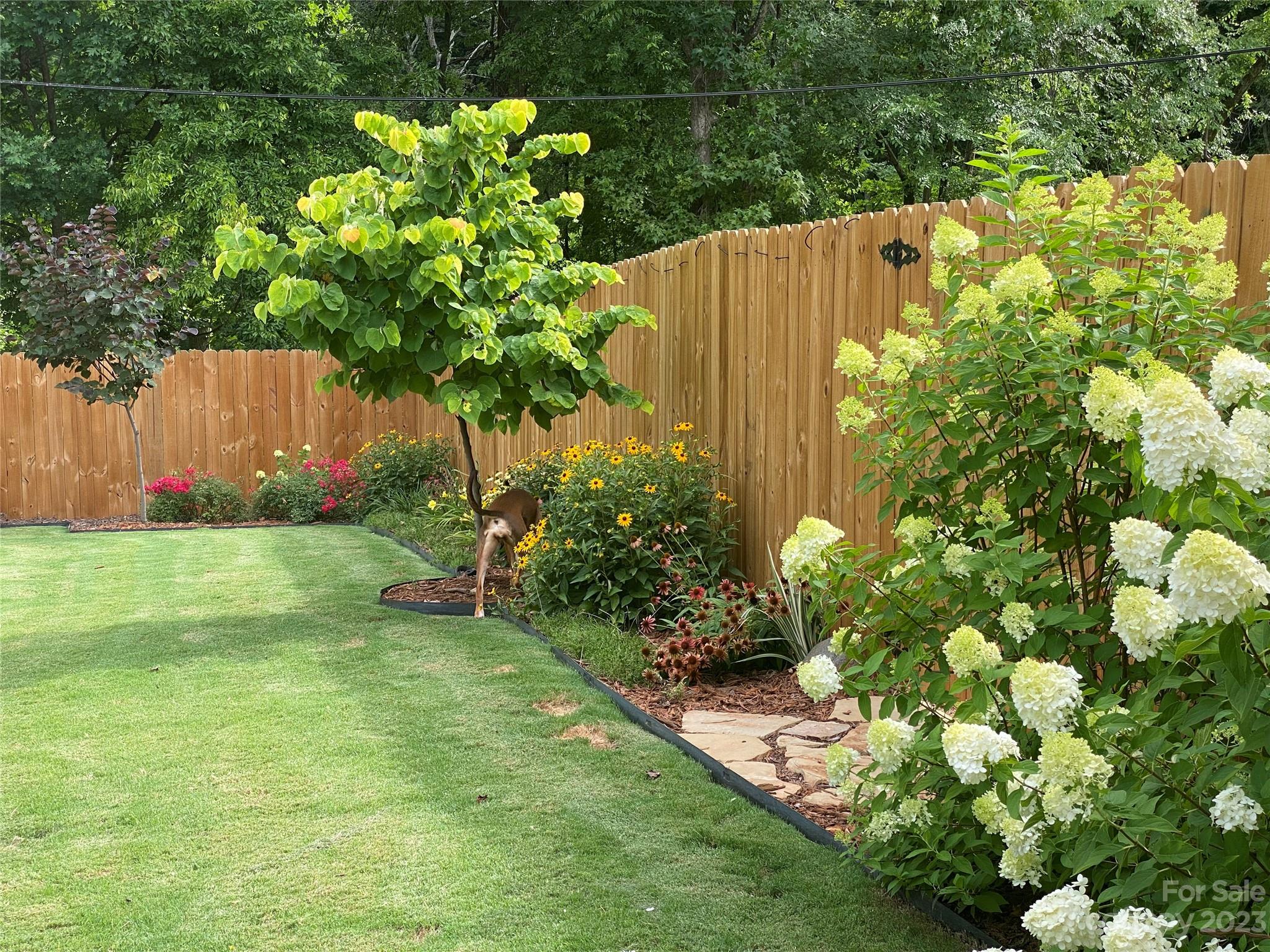 5236 Valley Stream Road Charlotte, NC 28209 - Photo 42 of 45 Gallery Image 42