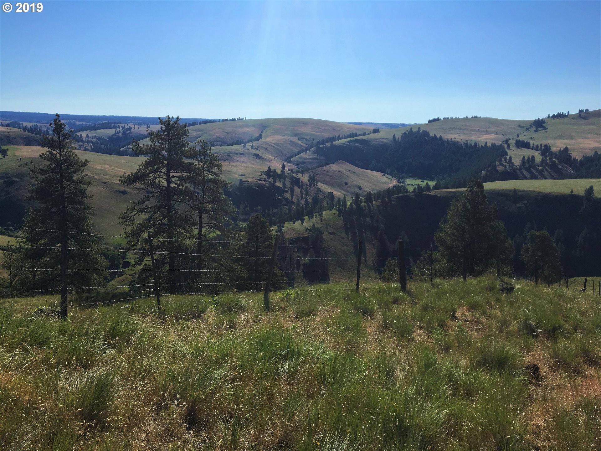 76620 Lewis Road Enterprise, OR 97828 - Photo 12 of 30 Gallery Image 12