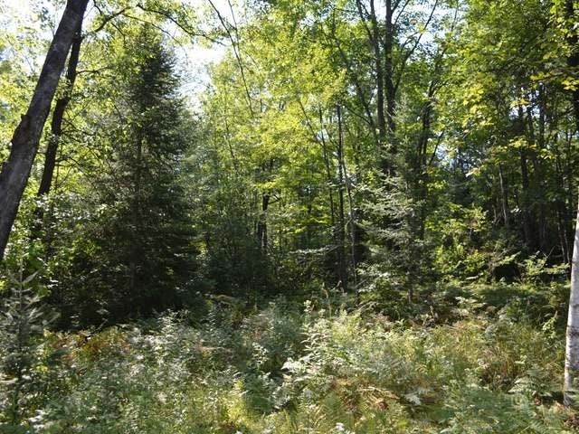 On Tomahawk River Road Tomahawk, WI 54487 - Photo 13 of 20 Gallery Image 13