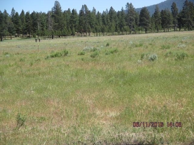 9247 Sprague River Road Chiloquin, OR 97624 - Photo 9 of 30 Additional Photo