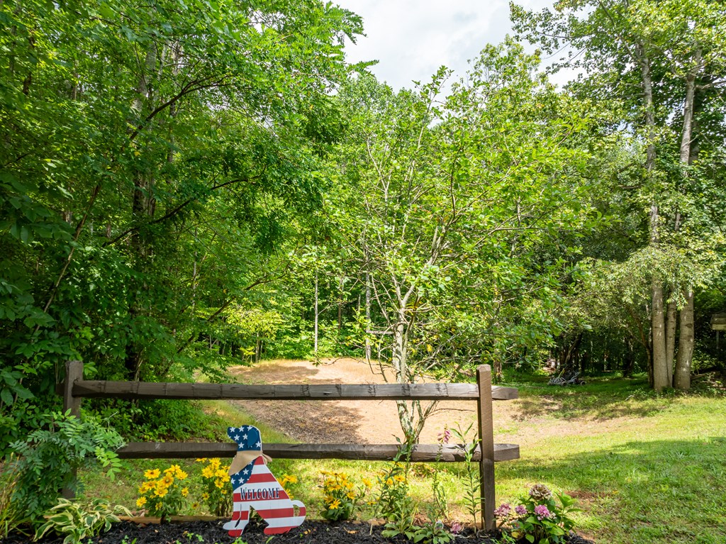 38 Hamilton Road Blairsville, GA 30512 - Photo 15 of 72 Gallery Image 15