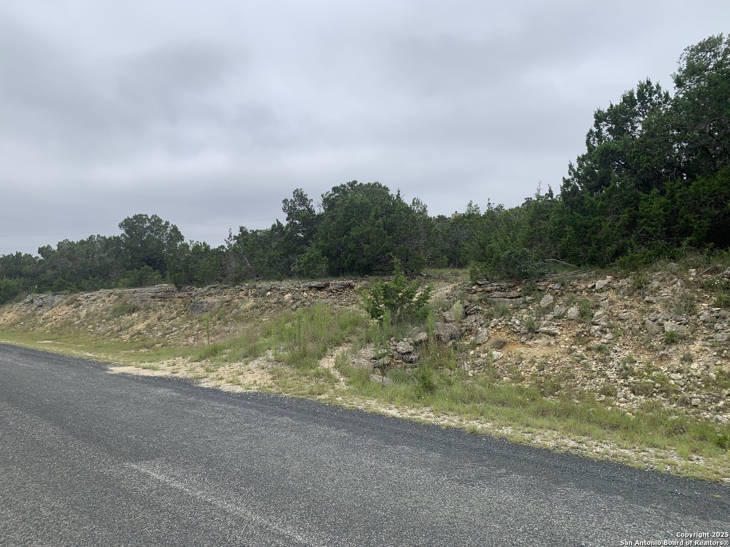 457 Throughbred Spring Branch, TX 78070 - Photo 3 of 6 a view of lake with green space