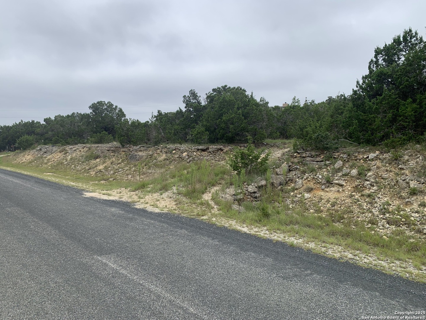 457 Throughbred Spring Branch, TX 78070 - Photo 4 of 6 a view of lake view and mountain view