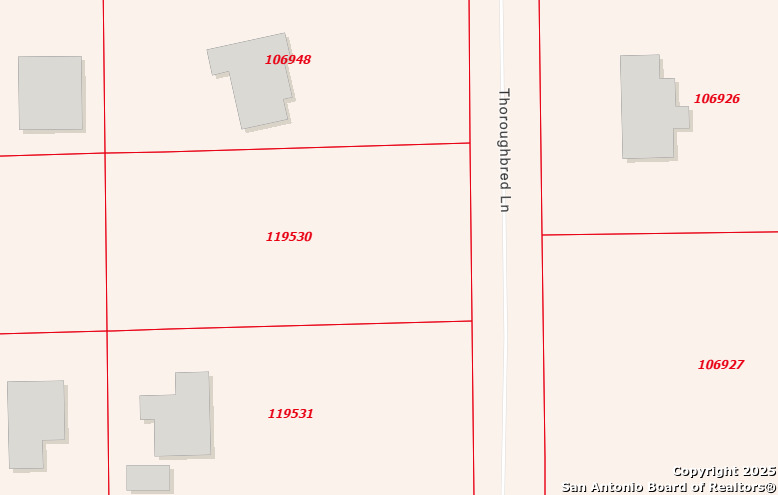 457 Throughbred Spring Branch, TX 78070 - Photo 6 of 6