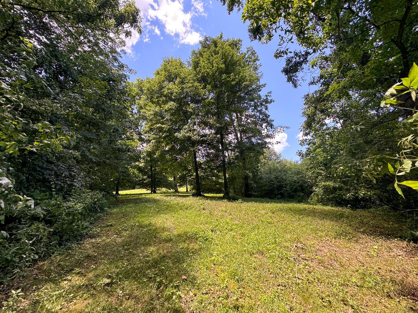4313 Flint Ridge Road Northeast, Unit INT RIDGE TRACT 18 ACRE) Crooksville, OH 43731 - Photo 42 of 53 CT-42