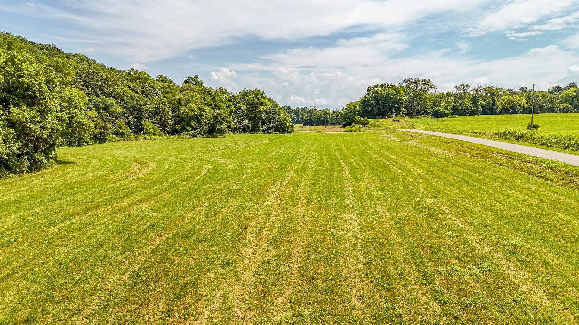 2245 Big Ivy Road Savannah, TN 38372 - Photo 15 of 39