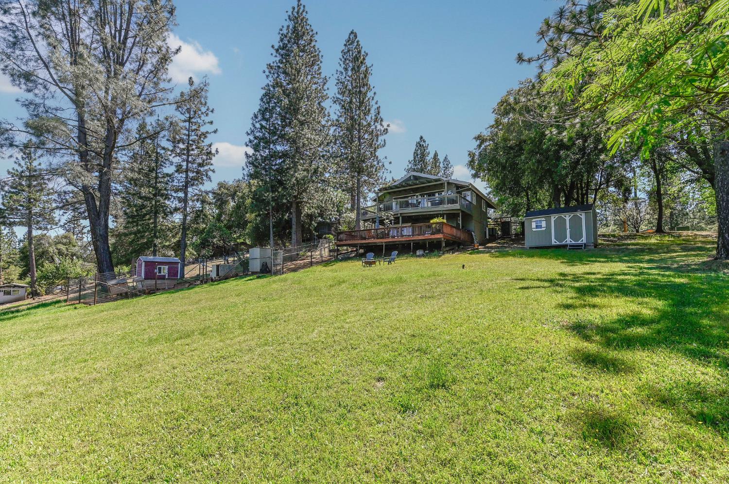 11266 Clinton Bar Road Pine Grove, CA 95665 - Photo 52 of 77 a view of a house with a big yard and large trees