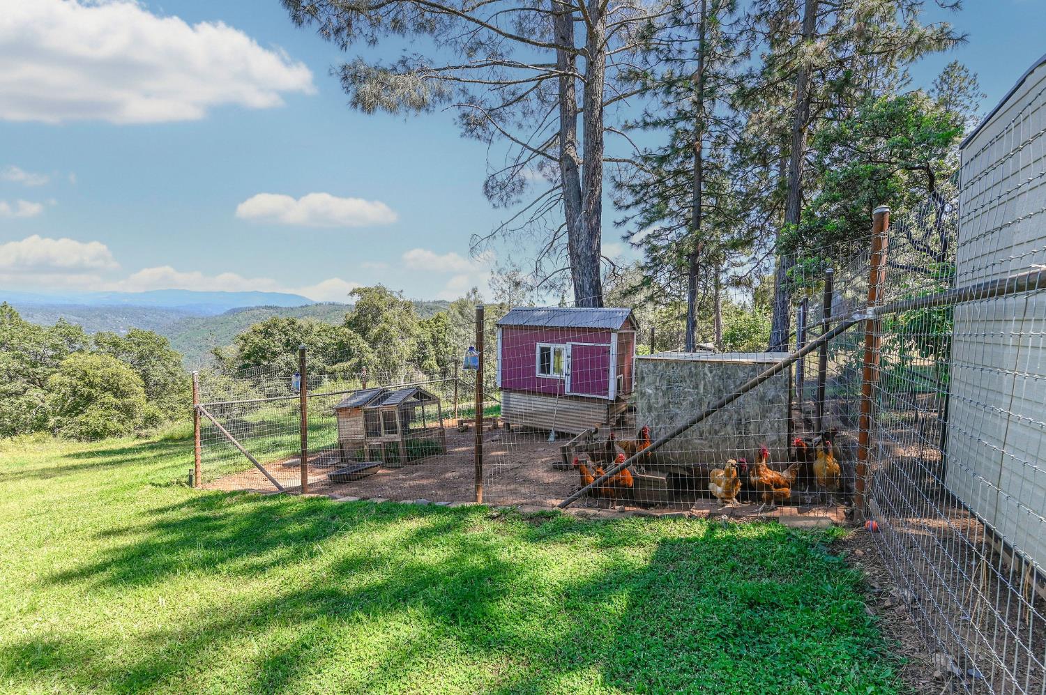 11266 Clinton Bar Road Pine Grove, CA 95665 - Photo 56 of 77