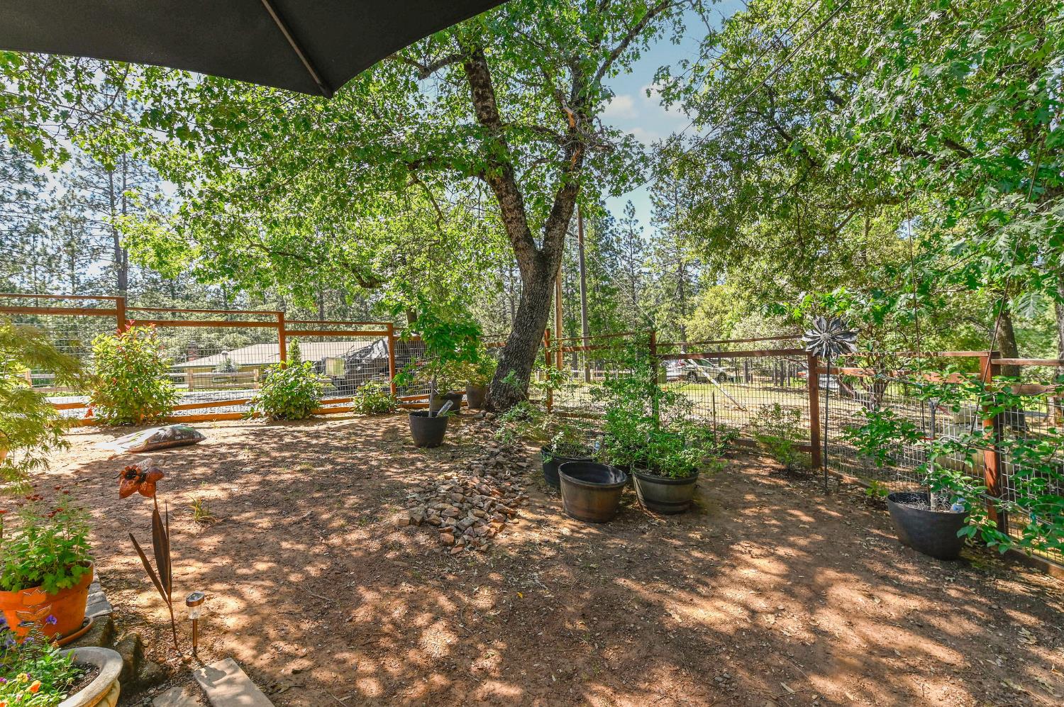 11266 Clinton Bar Road Pine Grove, CA 95665 - Photo 71 of 77