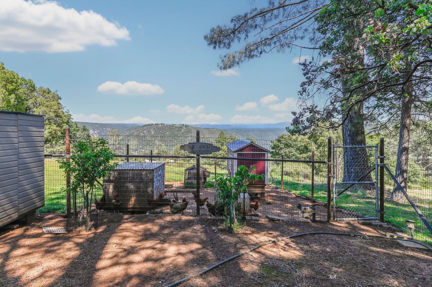 11266 Clinton Bar Road Pine Grove, CA 95665 - Photo 9 of 77