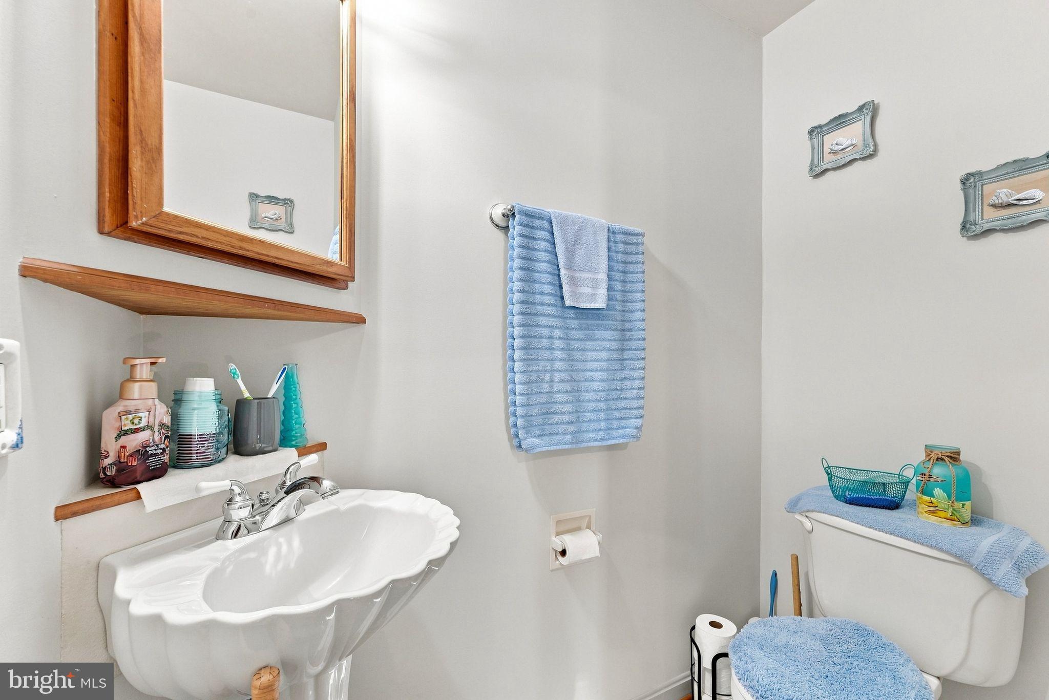 5532 Waterford Road Rixeyville, VA 22737 - Photo 17 of 60 Half Bath in Primary Bedroom