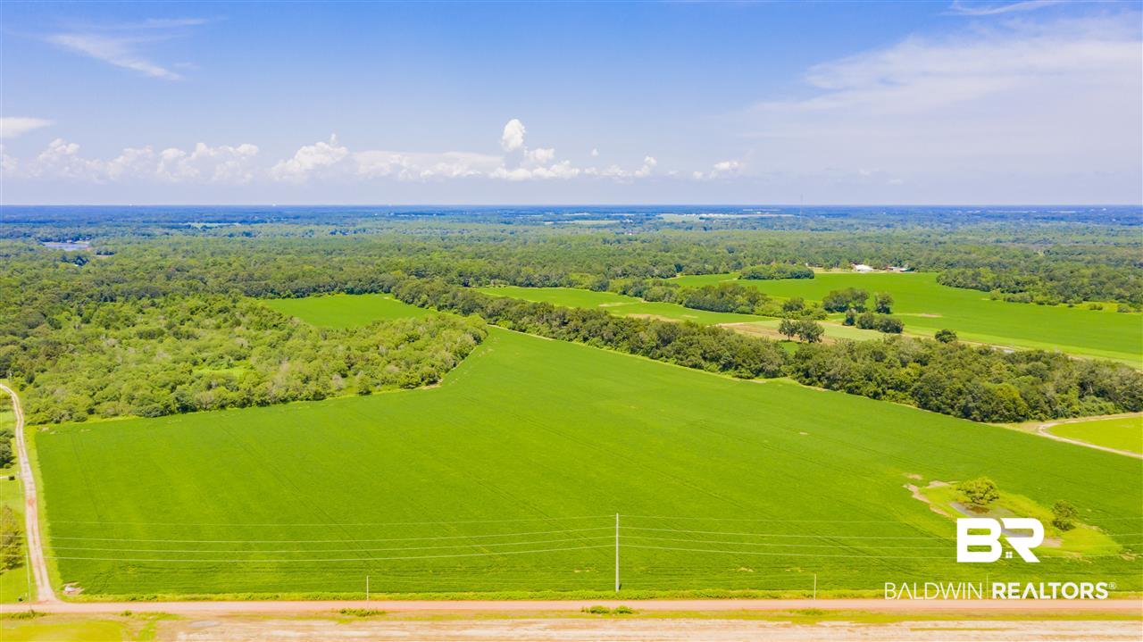 0 East Bay Road Foley, AL 36535 - Photo 3 of 10 Gallery Image 3