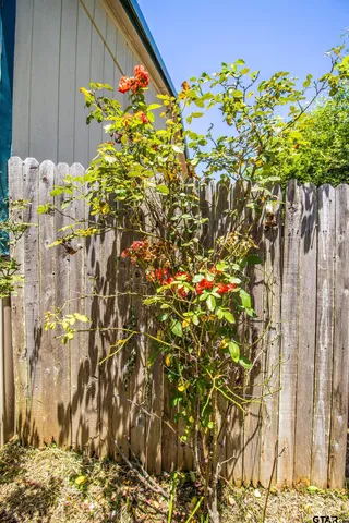 a picture of flowers