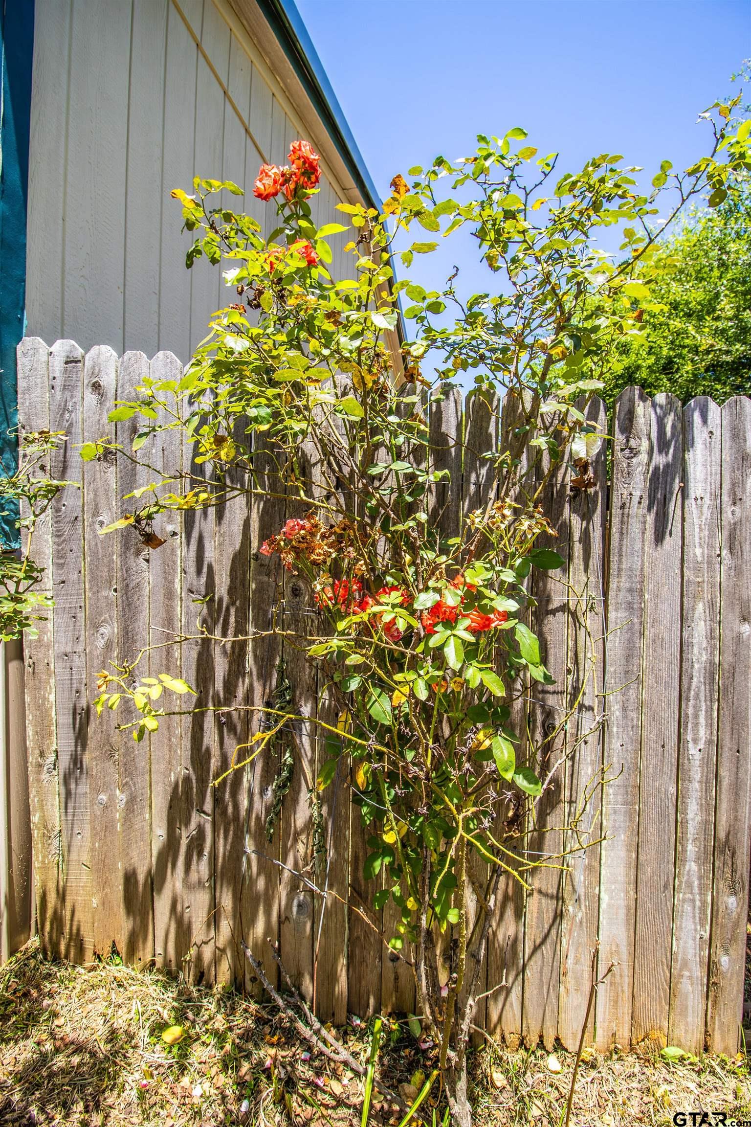 12450 Fannin Parkway Tyler, TX 75708 - Photo 36 of 39 a picture of flowers