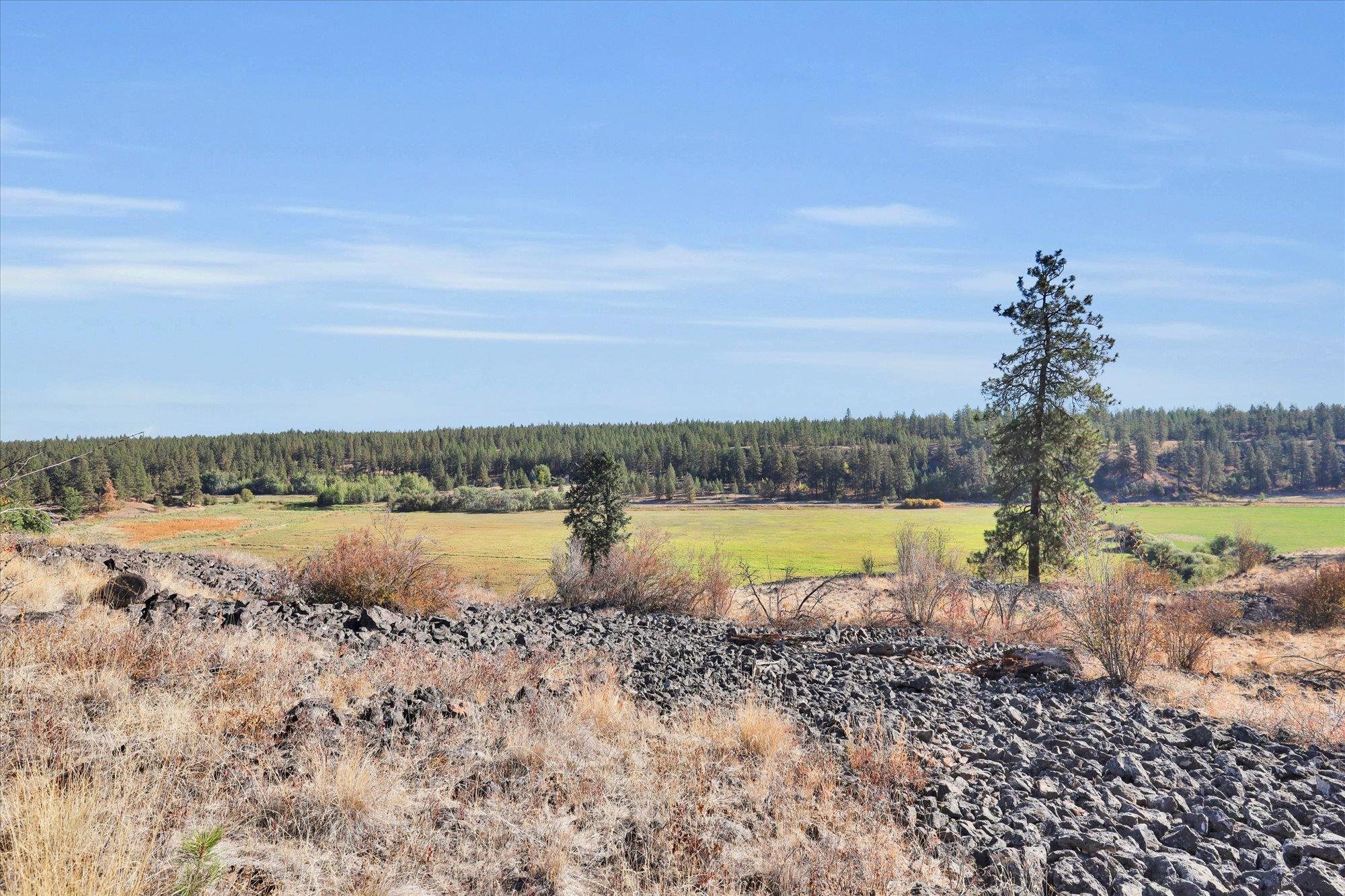 Tbd South Scribner Road, Unit PARCEL #24272 9065 Cheney, WA 99004 - Photo 3 of 26