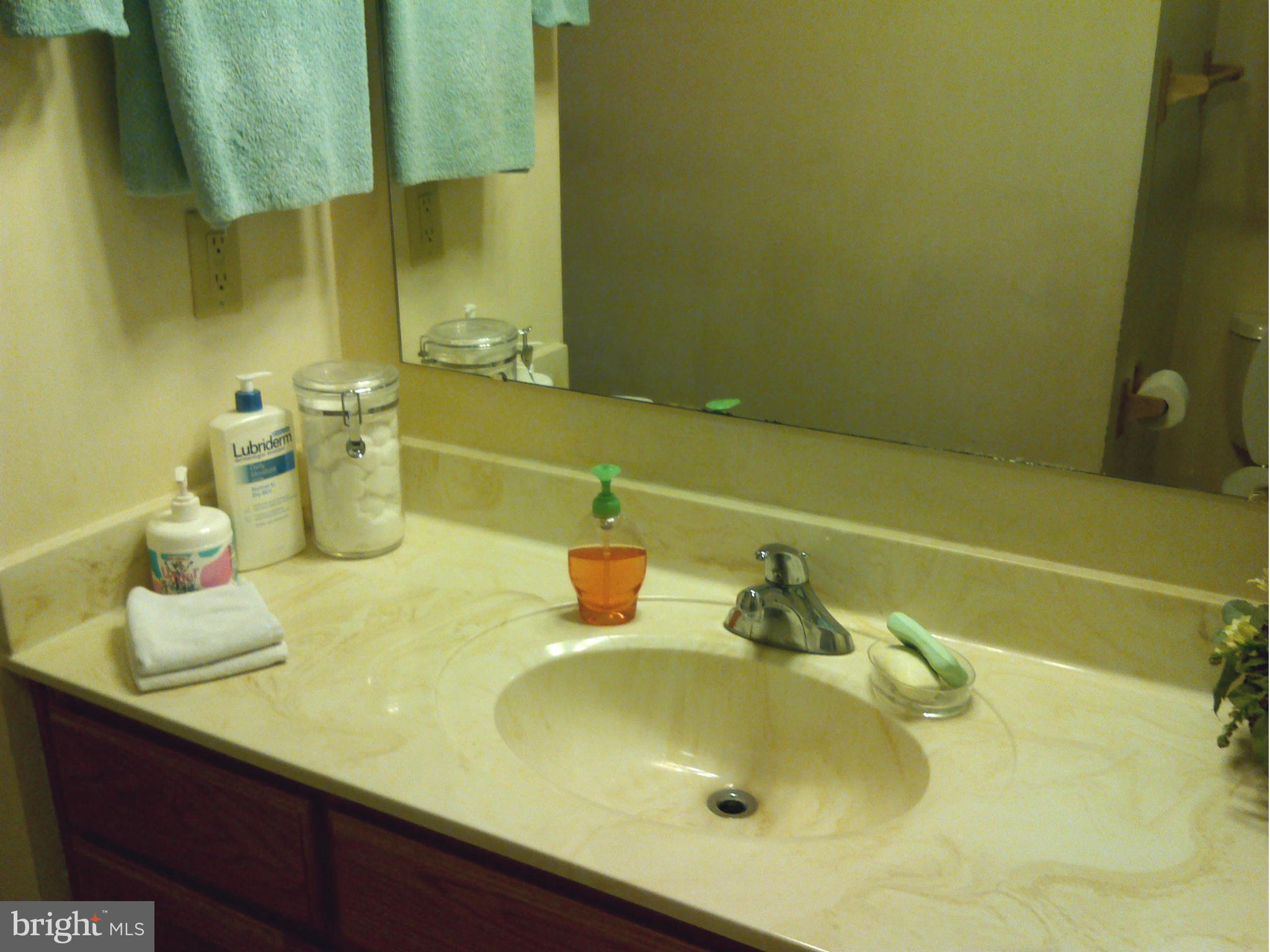 22333 Frazier Road Rock Hall, MD 21661 - Photo 11 of 17 Downstairs Bathroom