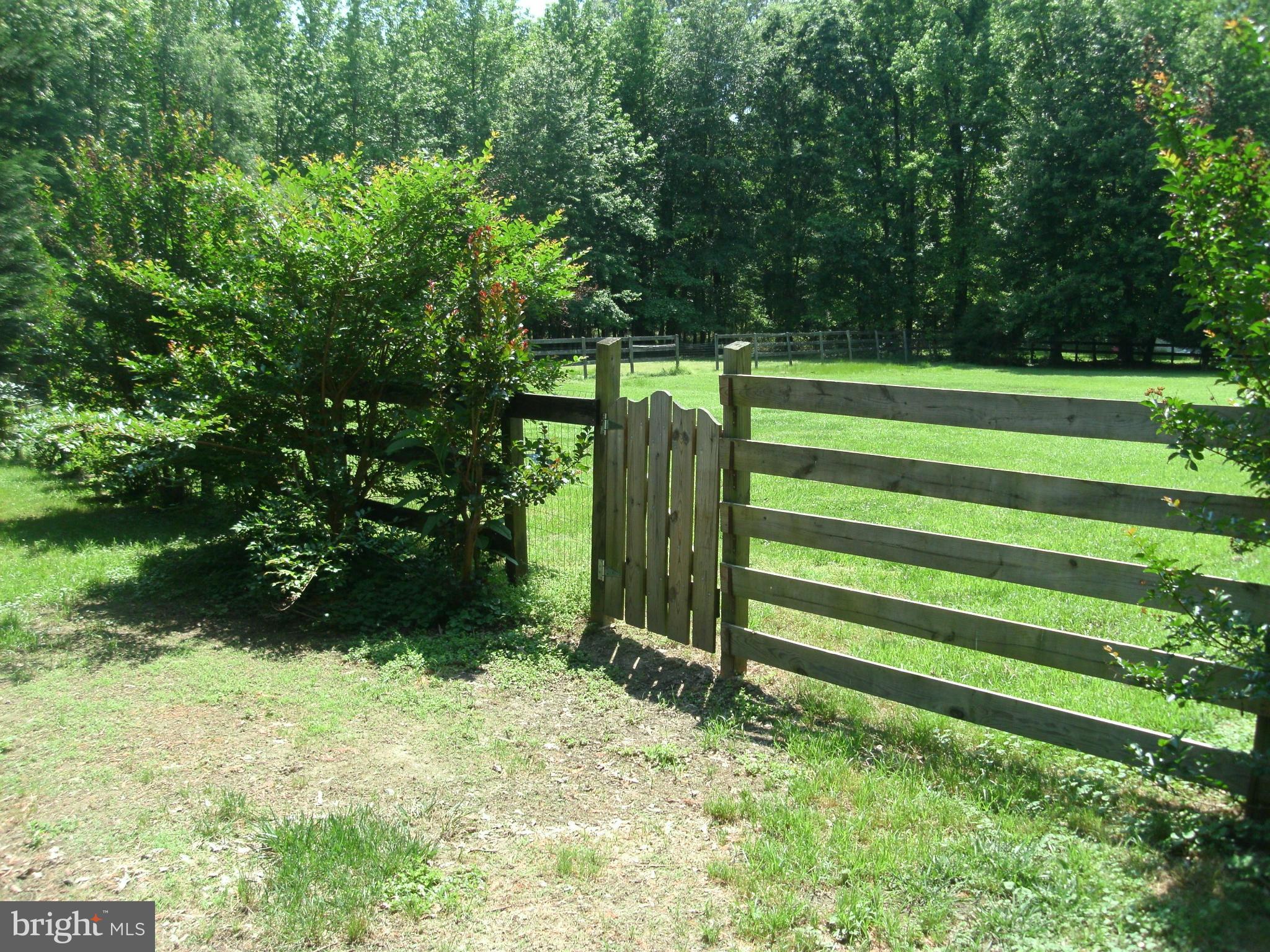 Gate to fenced field