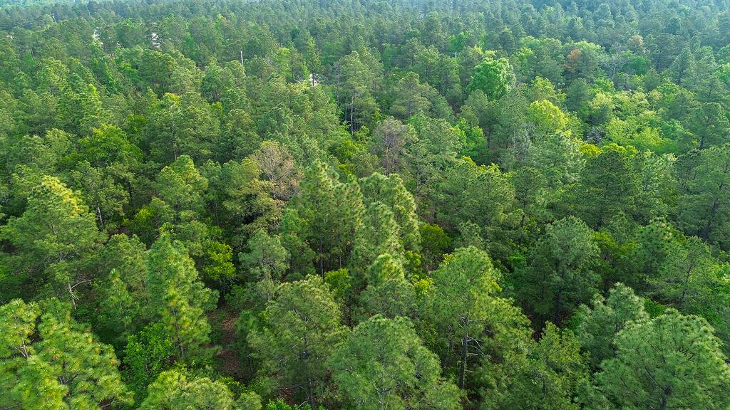 0 Mt Zion Road, Unit 5 Trenton, SC 29847 - Photo 15 of 26
