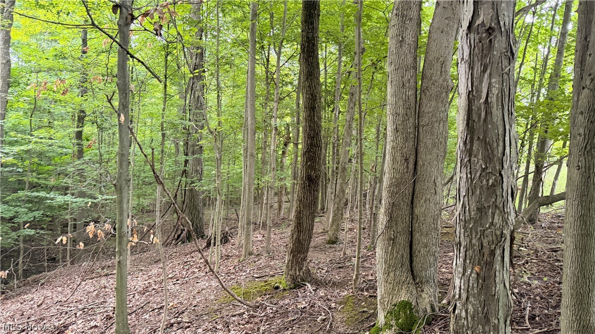 5201 Emerson Road Madison, OH 44057 - Photo 25 of 50