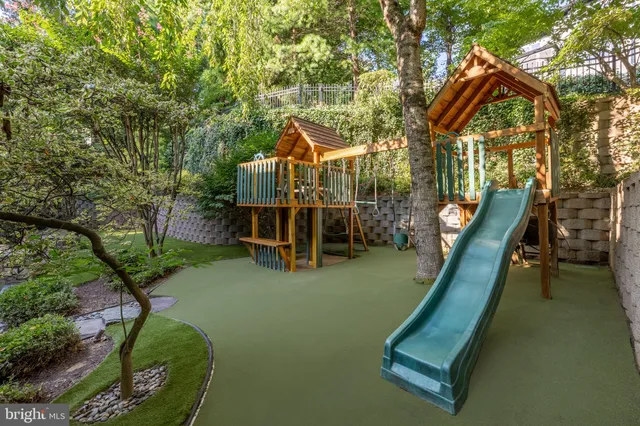 a view of a garden with plants