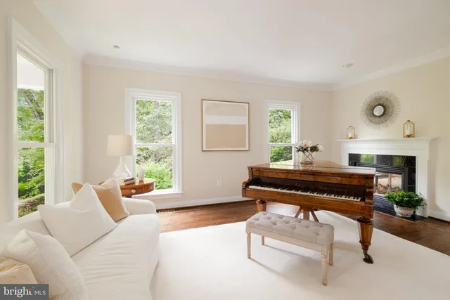 a living room with furniture a window and a potted plant