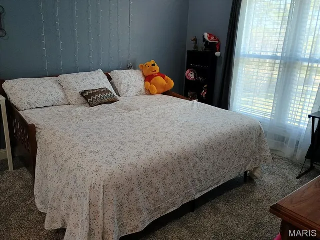 $589,000 | 345 County Road 5015, Salem, MO 65560