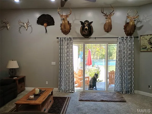 $589,000 | 345 County Road 5015, Salem, MO 65560