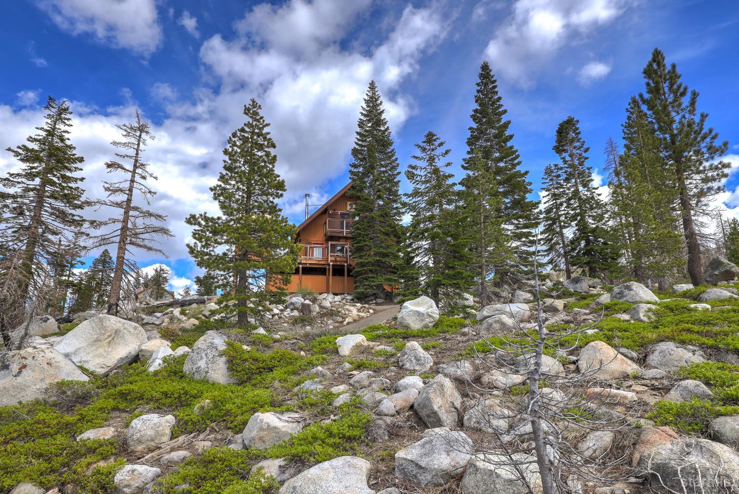 2051 Huckleberry Road Twin Bridges, CA 95735 - Photo 32 of 40 a view of a tree with a yard