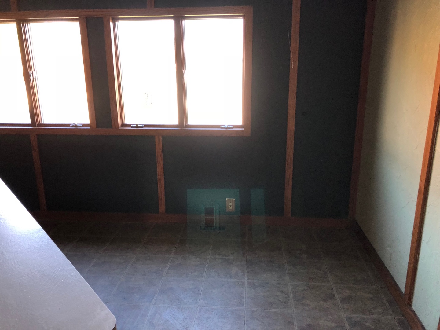 817 Black Road Joliet, IL 60435 - Photo 6 of 18
