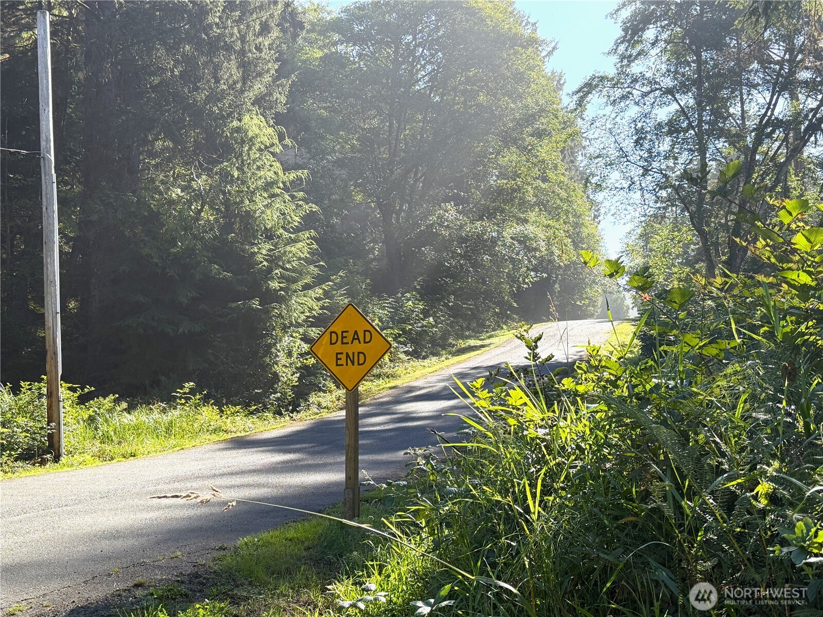 23 Copalis Rv Lane Copalis Beach, WA 98535 - Photo 37 of 40 a view of a park with plants and a bench