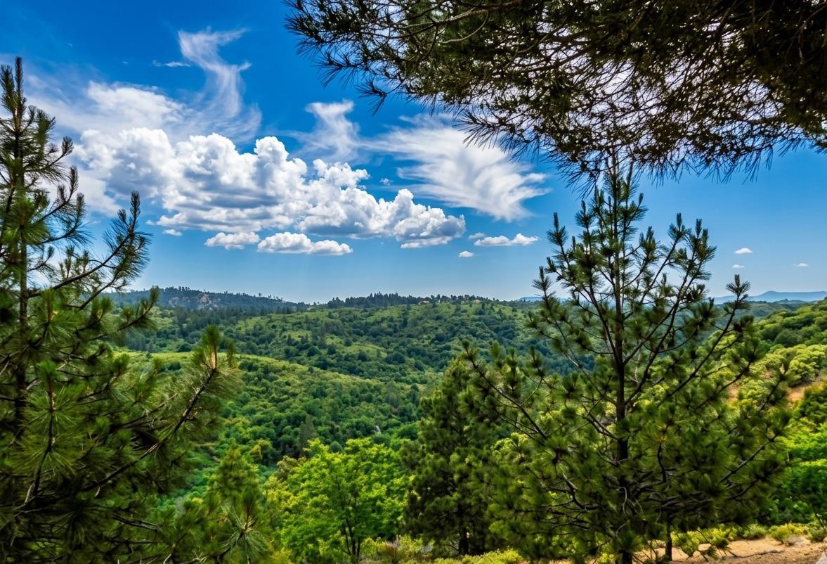 5595 Jasper-Ridge Murphys, CA 95247 - Photo 22 of 96 You won't tire of these views!
