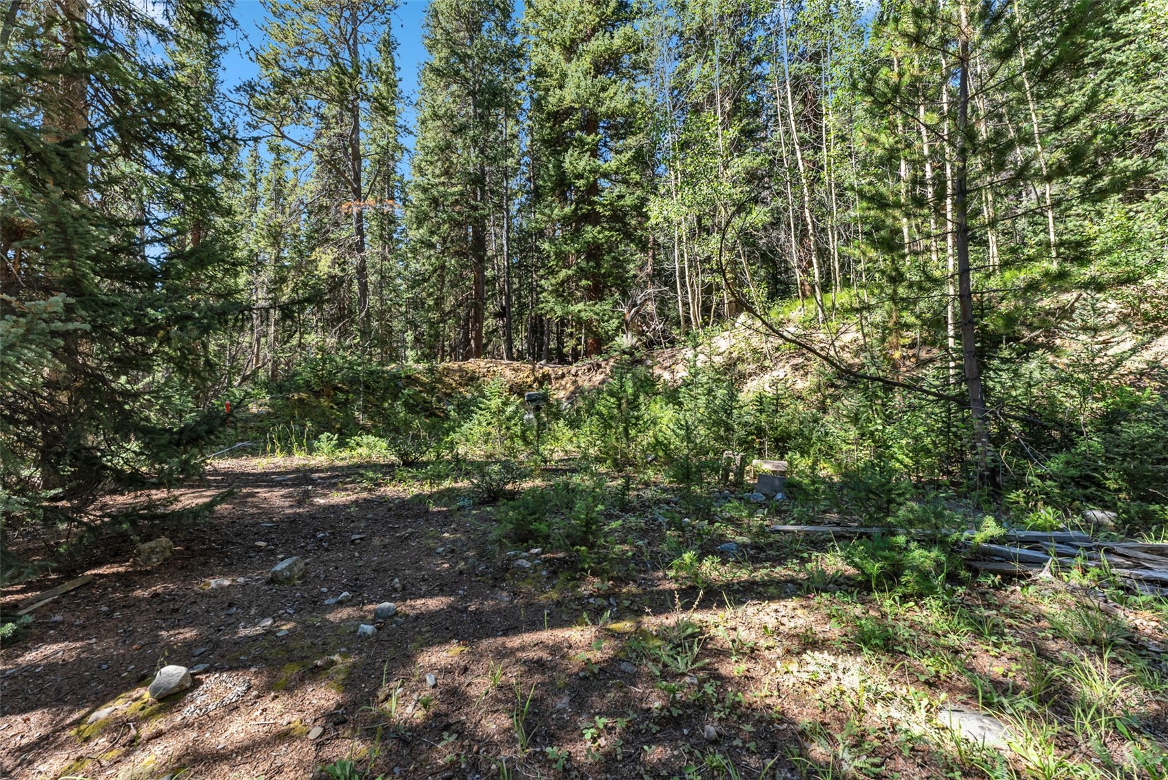 289 Ridge Road Alma, CO 80420 - Photo 17 of 25 Gallery Image 17