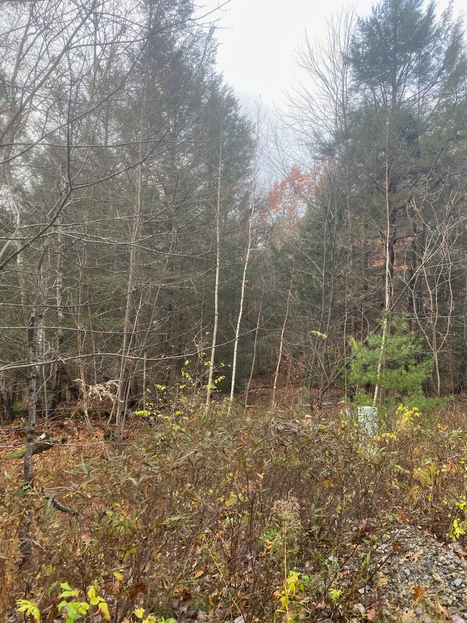 0 Stagecoach Road Woolwich, ME 04579 - Photo 8 of 11 IMG_7322