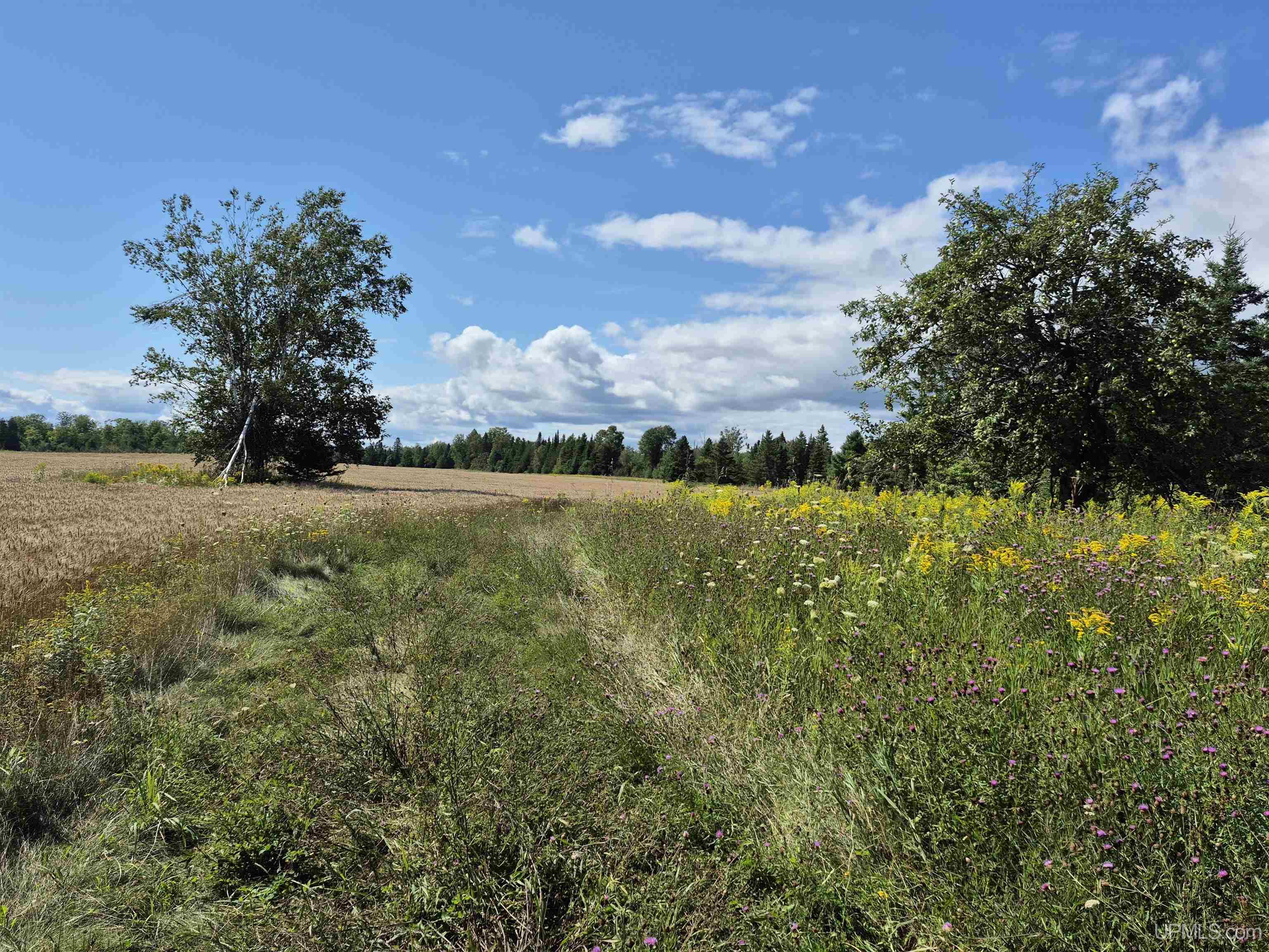 160-acres Halverson Road Gulliver, MI 49840 - Photo 21 of 35