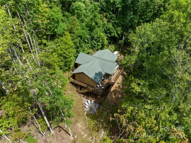 a view of a lush green forest with a mountain in the background