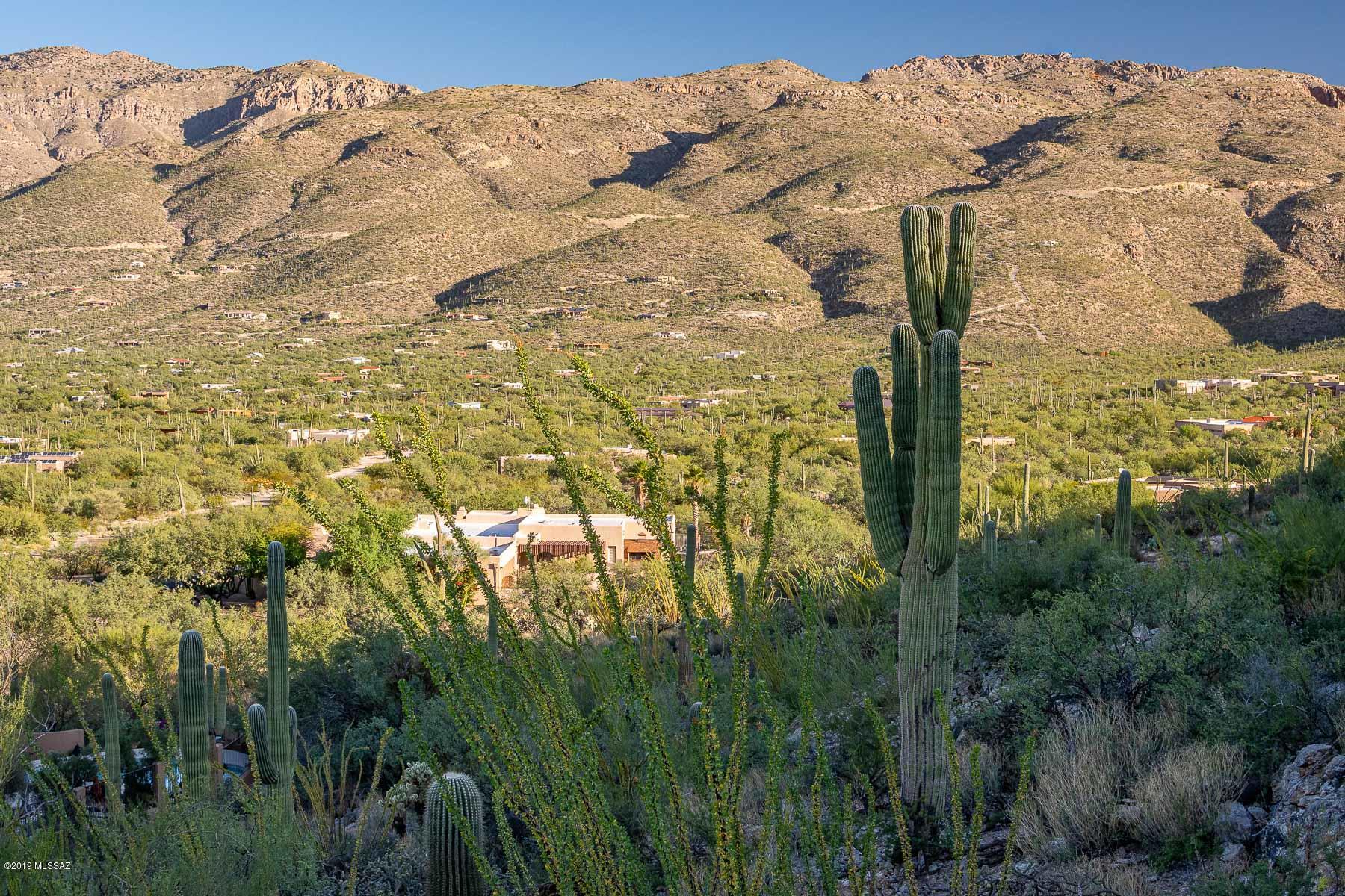 4140 Larkspur Road, Unit 79 Tucson, AZ 85749 - Photo 34 of 50 Gallery Image 34