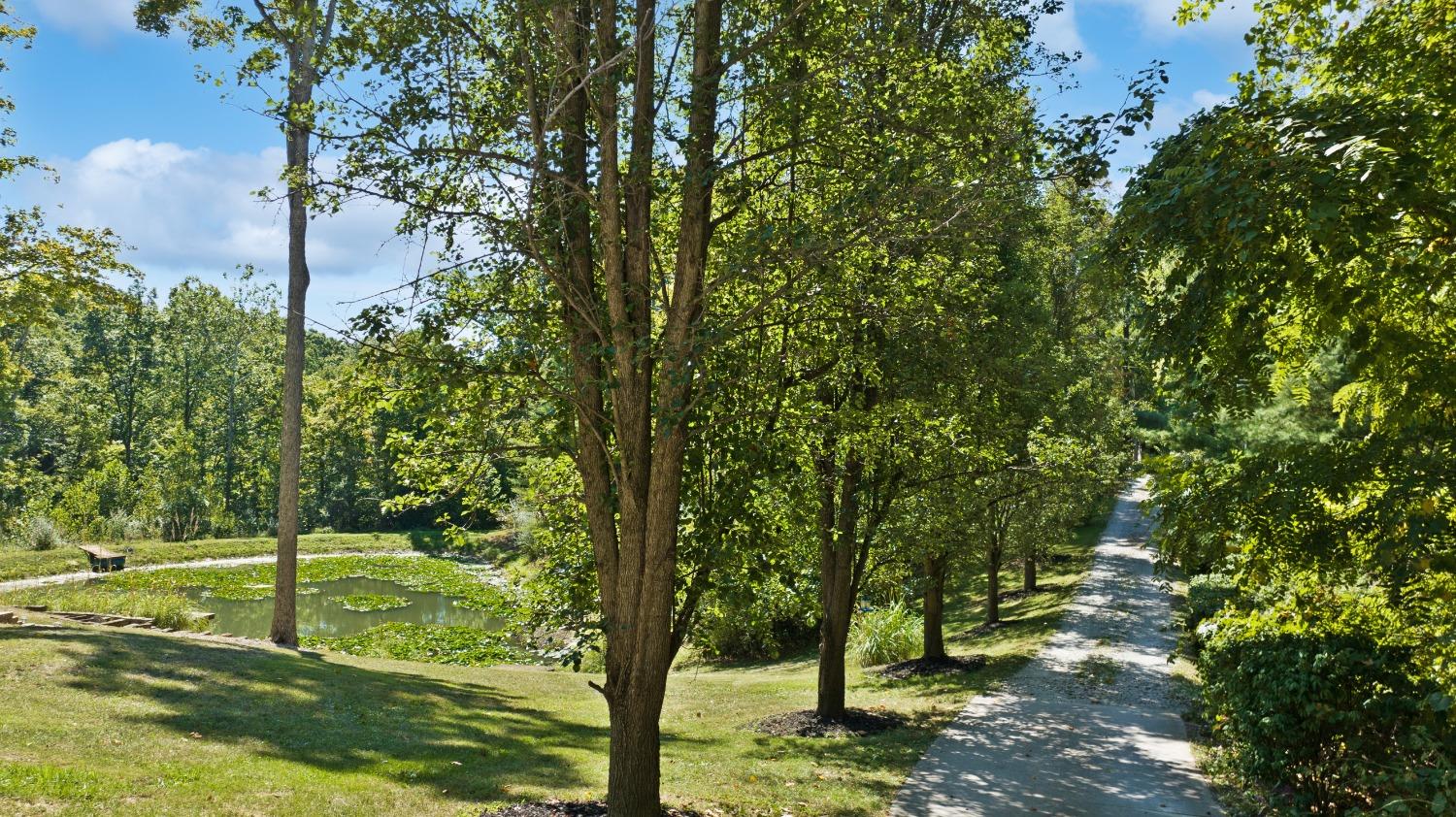 8340 Mapleleaf Drive Brookville, IN 47012 - Photo 15 of 51