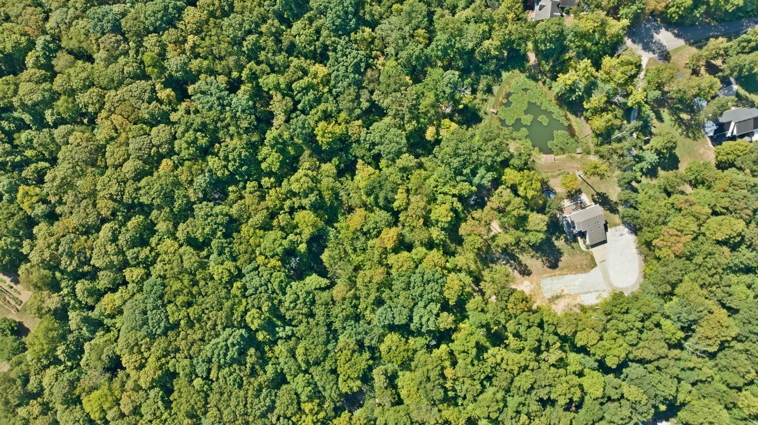 8340 Mapleleaf Drive Brookville, IN 47012 - Photo 21 of 51