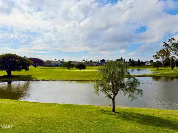 a view of a garden with a bench